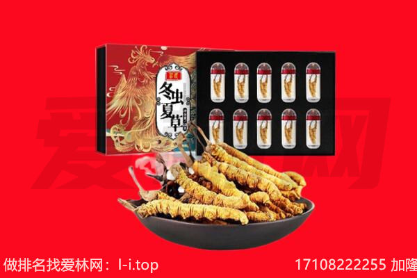 辽阳县回收虫草.jpg